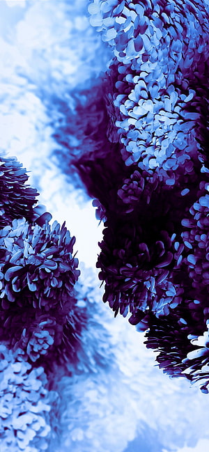 Abstract Blue and Purple Ink Clouds Swirling in Water HD phone wallpaper