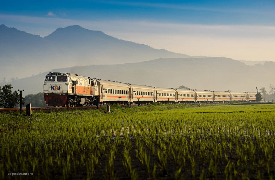 KAI Train Journey Through Lush Rice Paddies with Mountain Backdrop HD wallpaper