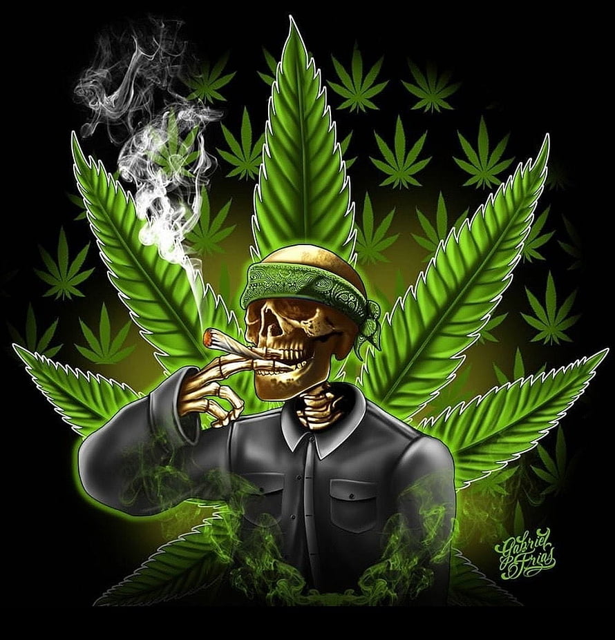 Skull Smoking Joint With Green Bandana And Marijuana Leaves Background HD phone wallpaper