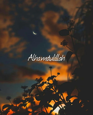 Alhamdulillah Text Overlay on Silhouette Plants Against Sunset Sky with Crescent Moon HD phone wallpaper