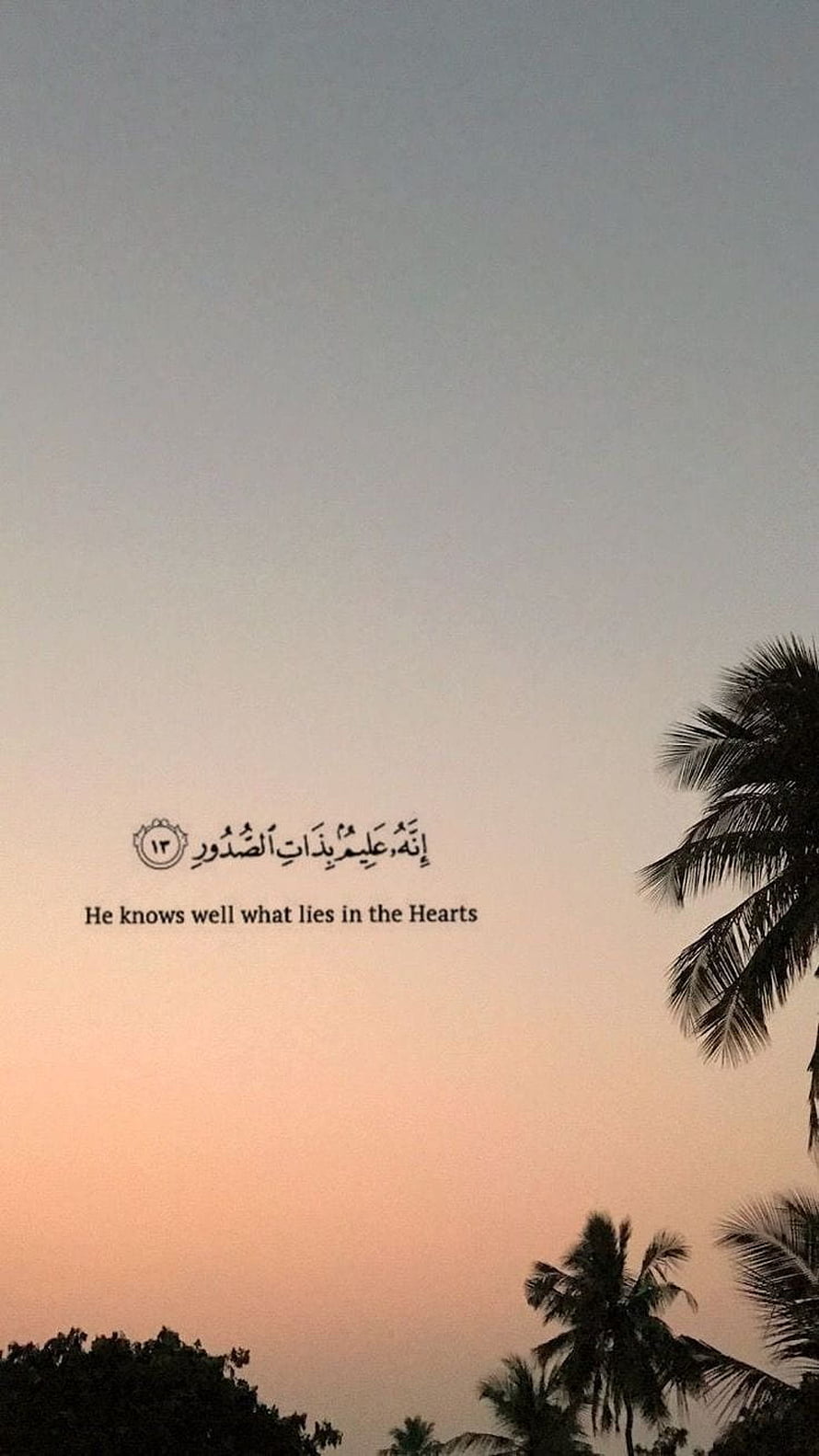 Islamic Quran Verse with Palm Trees at Sunset HD phone wallpaper