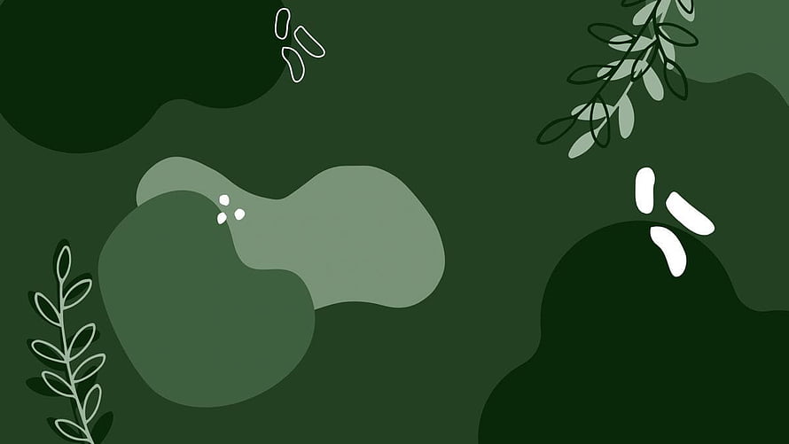 Abstract Green Nature Wallpaper With Minimalist Botanical Illustrations And Organic Shapes HD wallpaper