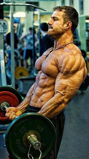 Muscular Man Performing Barbell Curl in Gym, Gym Motivation Mobile, gym mobile HD phone wallpaper