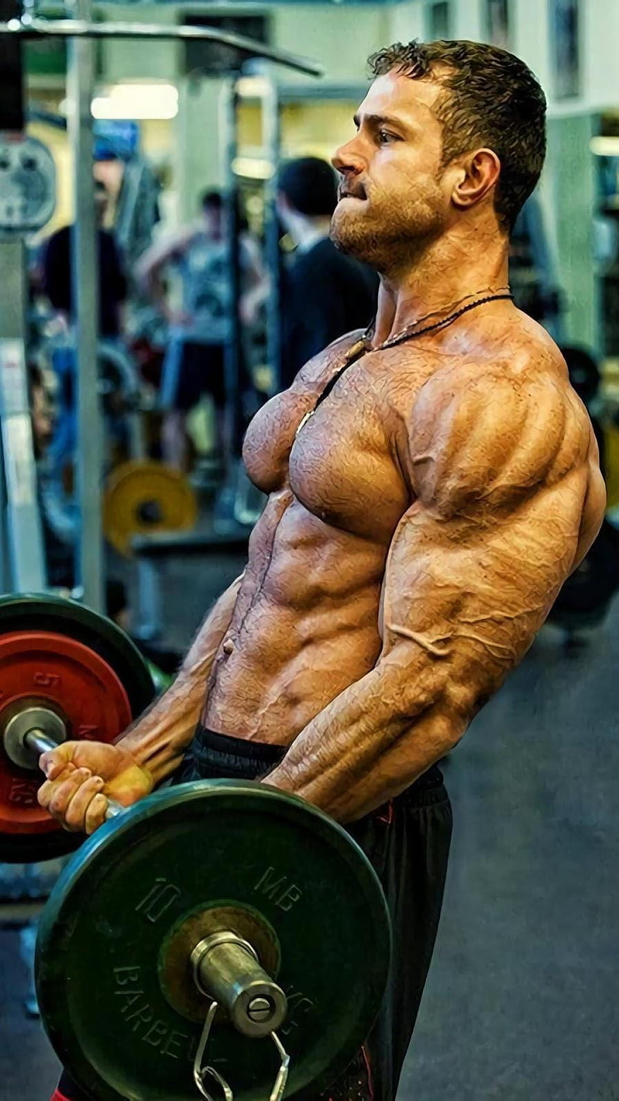 Muscular Man Performing Barbell Curl in Gym, Gym Motivation Mobile, gym mobile HD phone wallpaper