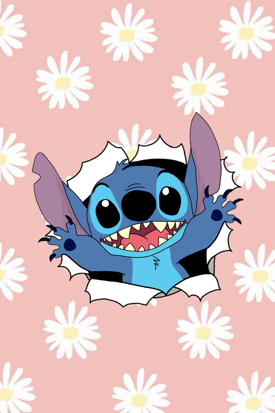Cute Stitch Breaking Through Pink Daisy Wallpaper Background HD phone wallpaper