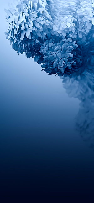Elegant Blue Floral Abstract Wallpaper With Soft Gradient Background HD phone wallpaper
