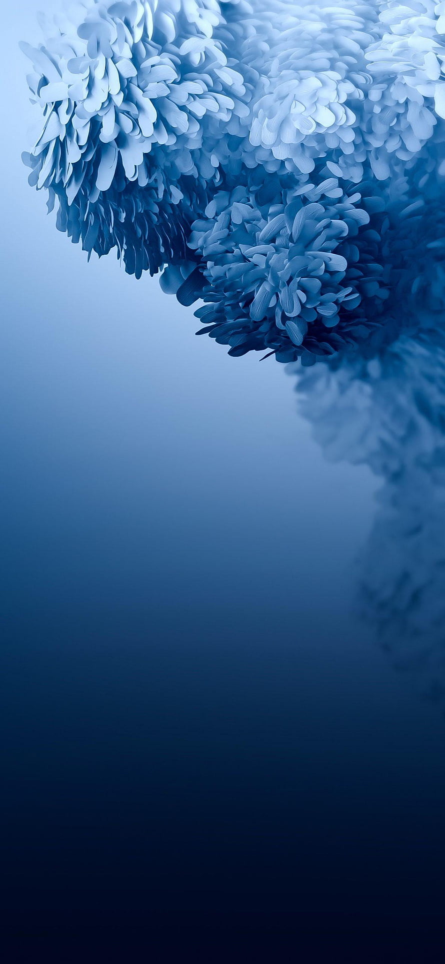 Elegant Blue Floral Abstract Wallpaper With Soft Gradient Background HD phone wallpaper