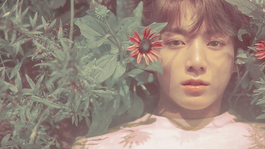 Jung Kook Portrait Amidst Green Foliage and Red Flowers HD wallpaper