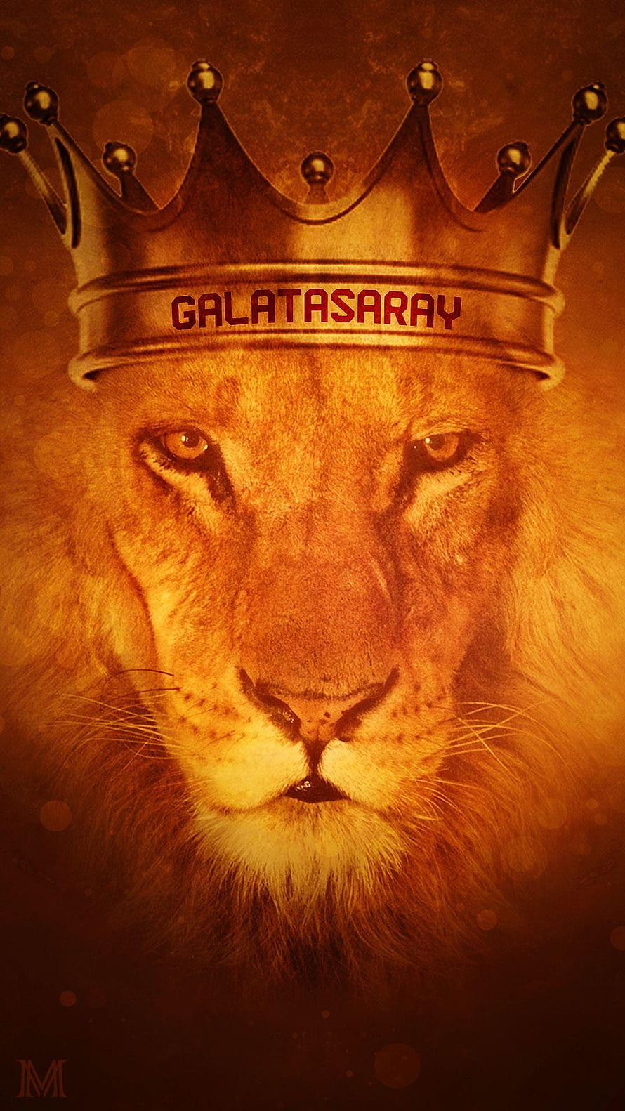 Galatasaray Lion King Crown Portrait in Golden Sepia Tones HD phone wallpaper