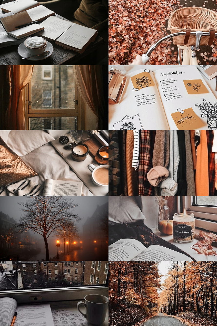 Cozy Autumn Study Aesthetic Collage Featuring Books, Coffee, and Warm Fall Scenery HD phone wallpaper