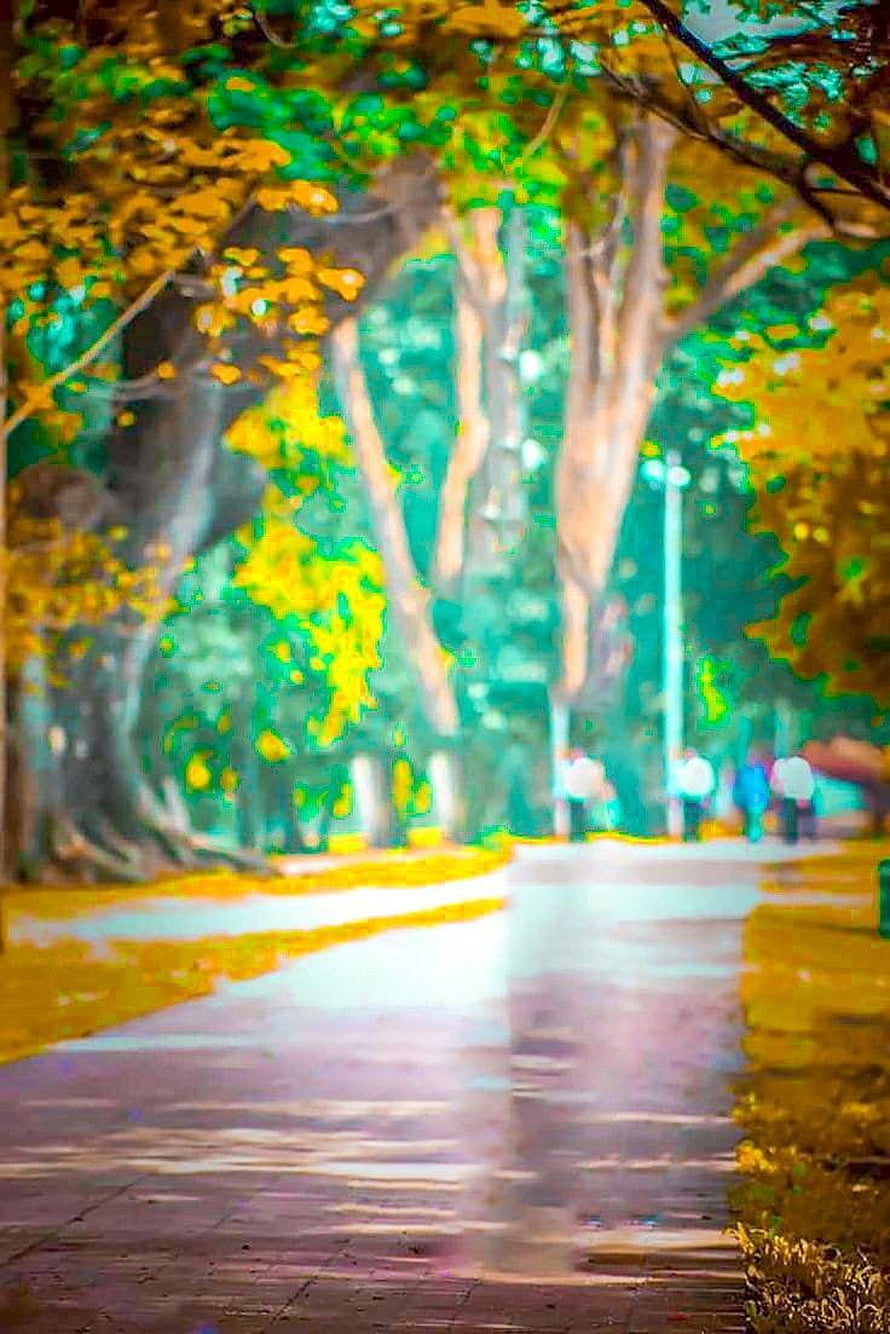 Vibrant Autumn Park Pathway With Colorful Trees And Walking Figures HD phone wallpaper
