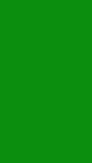Solid Green Screen Chroma Key Background for Video Production and Editing HD phone wallpaper