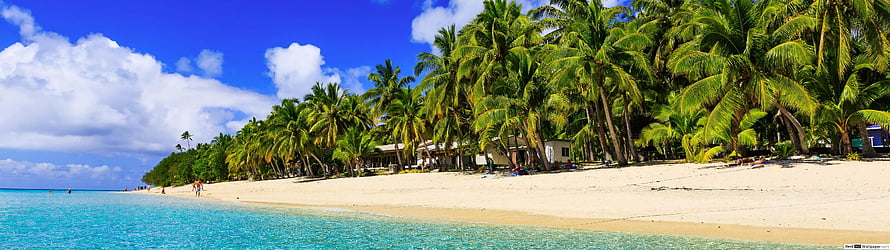 Tropical Beach Panorama With Palm Trees And Turquoise Water HD wallpaper