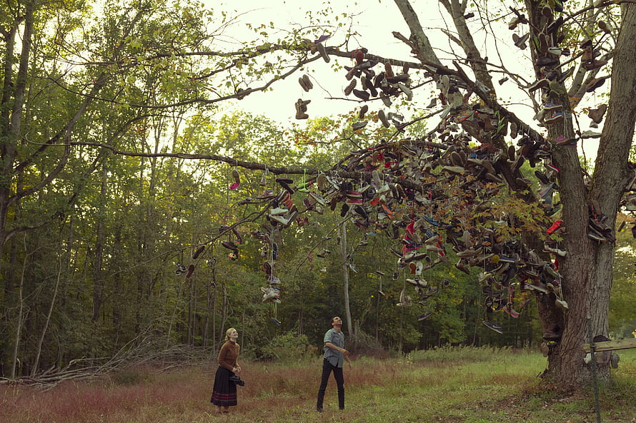 All the Bright Places Movie Scene with Shoe Tree in Forest HD wallpaper