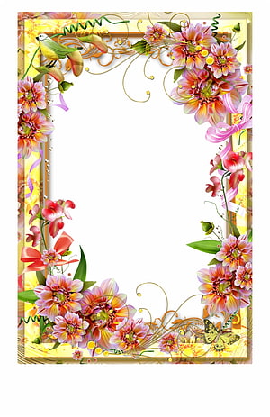 Colorful Floral Border With Bird And Butterfly HD phone wallpaper