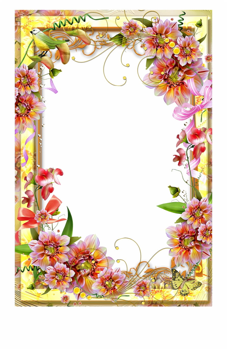 Colorful Floral Border With Bird And Butterfly HD phone wallpaper