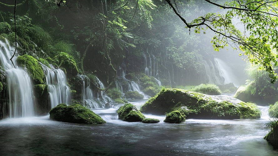 Misty Spring Waterfall in a Lush Green Forest with Mossy Rocks and Sunbeams HD wallpaper