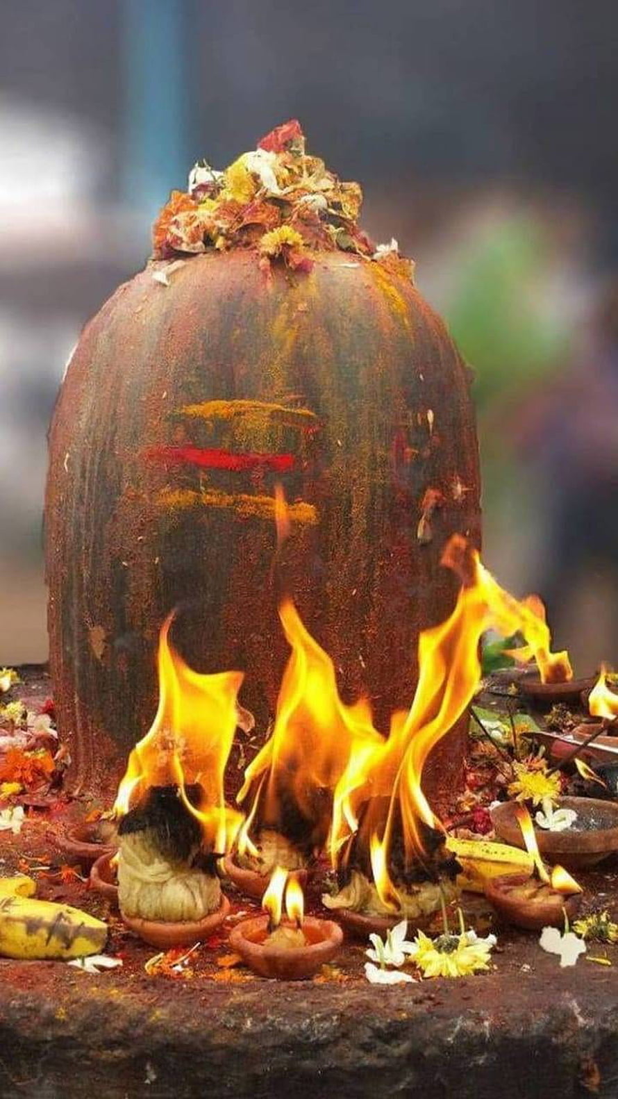 Sacred Shivalinga adorned with marigold petals and surrounded by burning oil lamps HD phone wallpaper