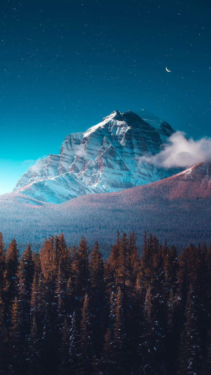Snow-Capped Mountain Peak Under Starry Night Sky With Crescent Moon And Pine Forest HD phone wallpaper