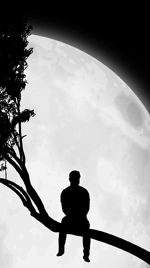 Silhouette of a Man Sitting on a Tree Branch Against a Giant Full Moon, Alone with moon, moon and boy HD phone wallpaper