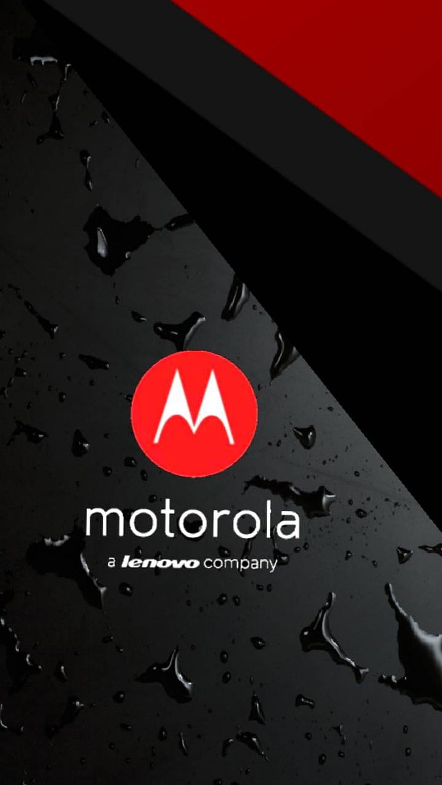 Motorola Logo on Wet Black Surface with Red Accent and Lenovo Branding HD phone wallpaper