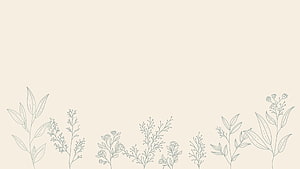 Minimalist Botanical Line Art Wallpaper With Delicate Floral Sketches On Beige Background HD wallpaper