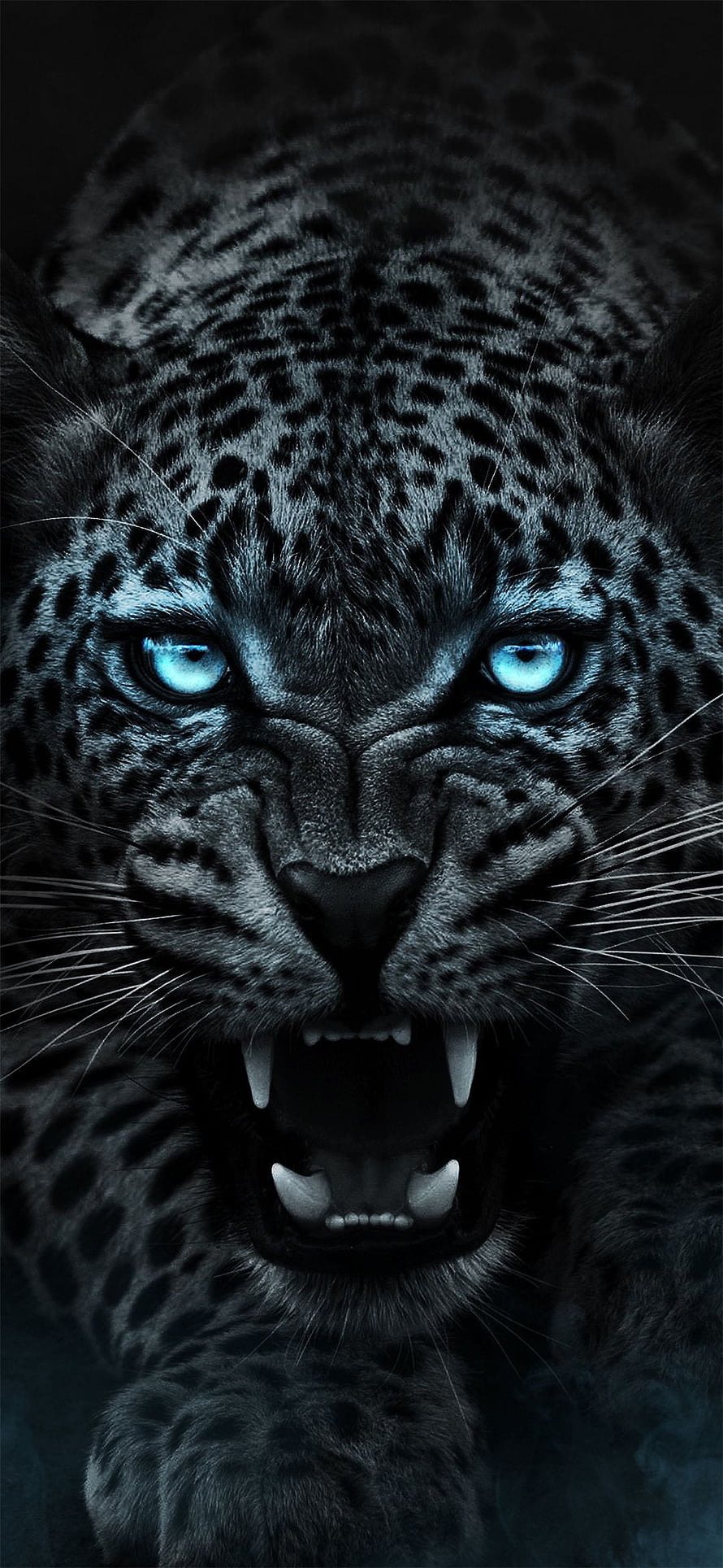 Fierce Black Leopard with Glowing Blue Eyes and Bared Fangs in Dark Portrait HD phone wallpaper