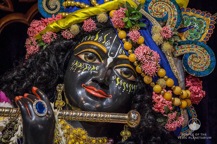 Lord Krishna Murti with Flute, Floral Crown, and Ornate Temple Adornments HD wallpaper