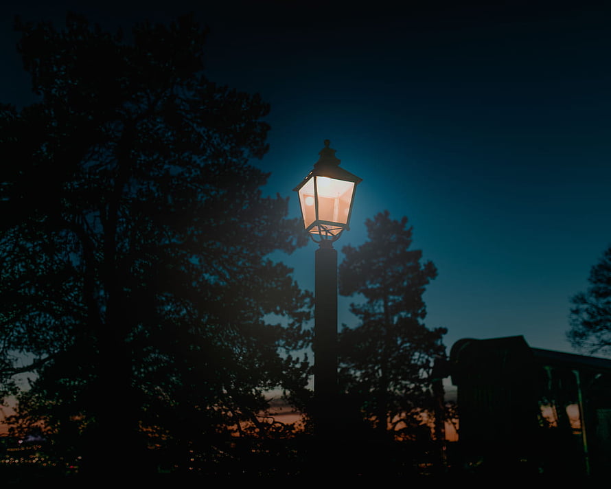 Glowing Vintage Street Lamp Illuminating Dark Silhouetted Trees at Twilight HD wallpaper