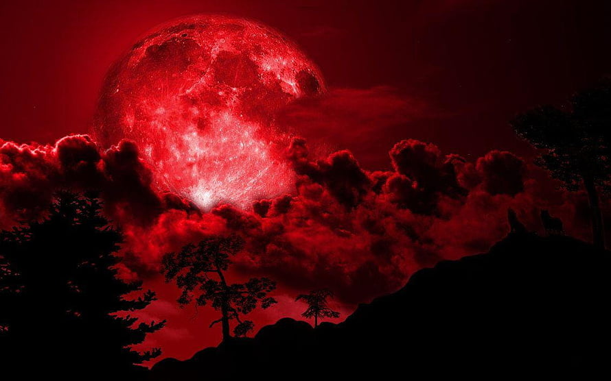 Eerie Blood Moon Rising Over Silhouetted Forest and Dramatic Red Clouds HD wallpaper