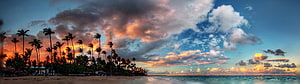 Panoramic Tropical Beach Sunset with Palm Trees and Dramatic Clouds HD wallpaper