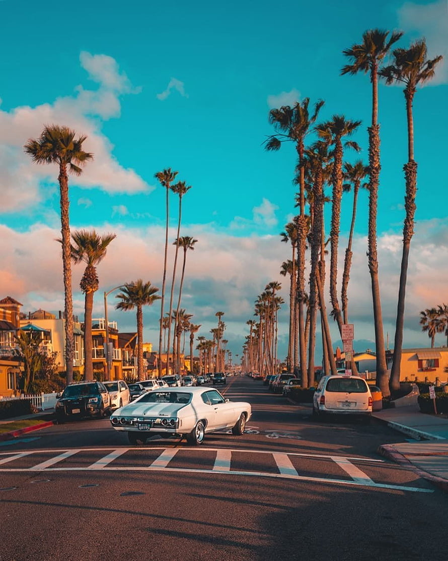 Classic American Muscle Car on Palm Tree Lined California Street at Golden Hour HD phone wallpaper