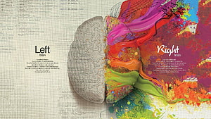 Left Brain Right Brain Concept Art with Code and Colorful Paint Splashes HD wallpaper