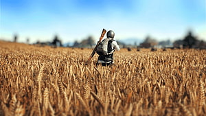 PUBG Mobile Soldier Crouching in Golden Wheat Field with Rifle HD wallpaper
