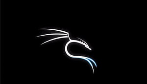 Minimalist White Dragon Logo on Black Background HD wallpaper