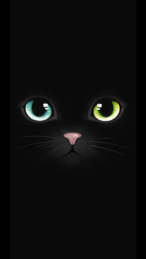 Black Cat Face with Heterochromia Eyes on Dark Background HD phone wallpaper
