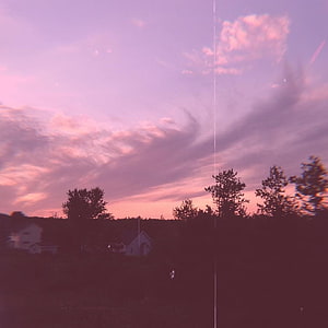 Dreamy Pink Sunset Over Silhouetted Trees and Rural Houses HD phone wallpaper