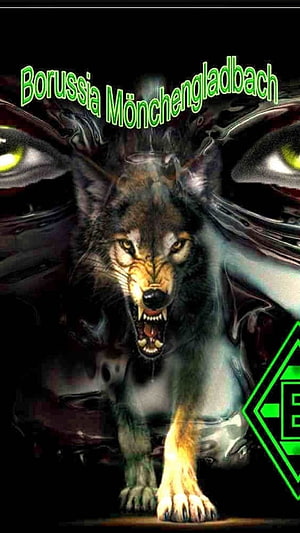 Borussia Mönchengladbach Fierce Wolf Mascot with Green Club Crest and Dark Background HD phone wallpaper