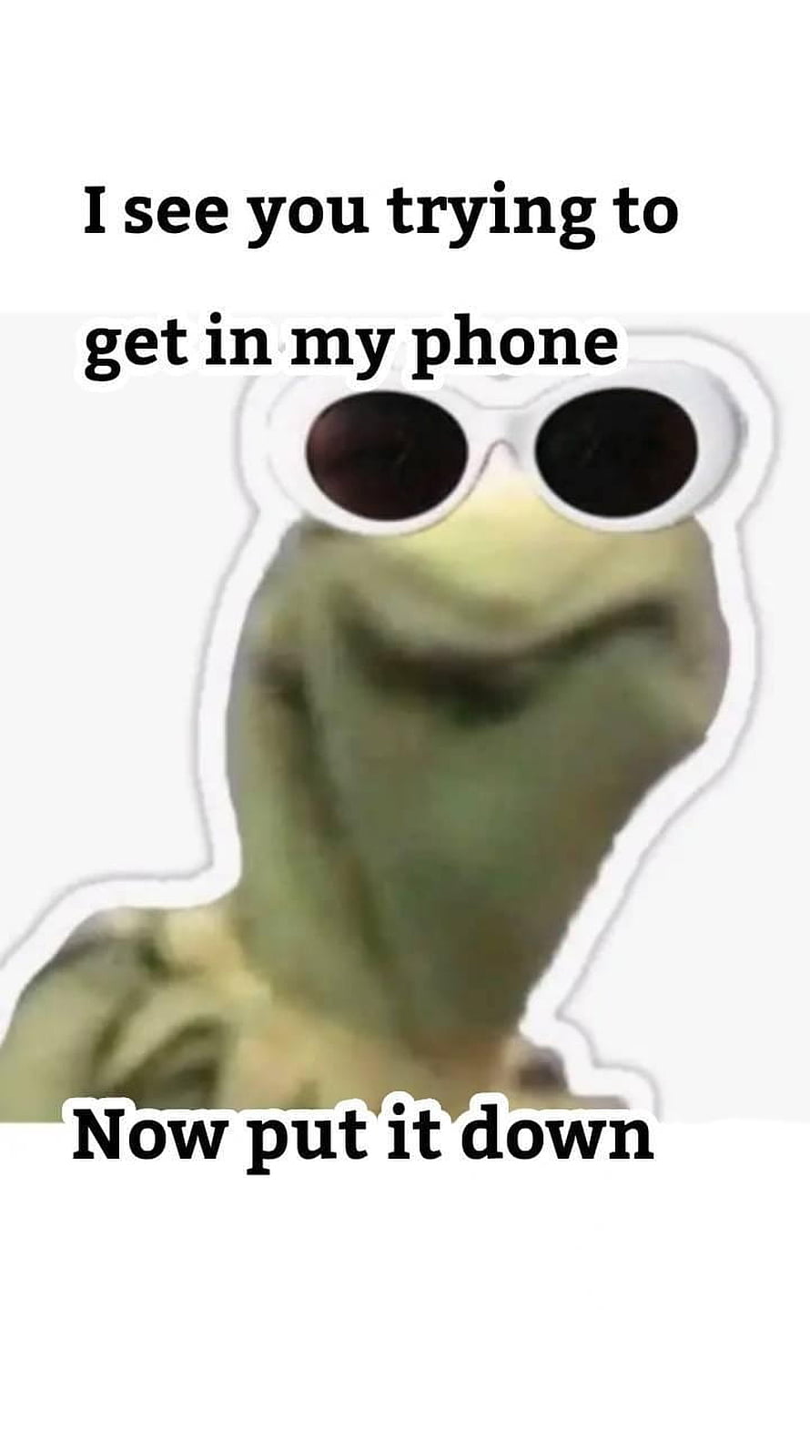 Kermit the Frog Wearing Sunglasses Meme Wallpaper HD phone wallpaper