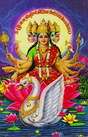 Gayatri Maa Hindu Deity Artwork with Swan and Lotus HD phone wallpaper