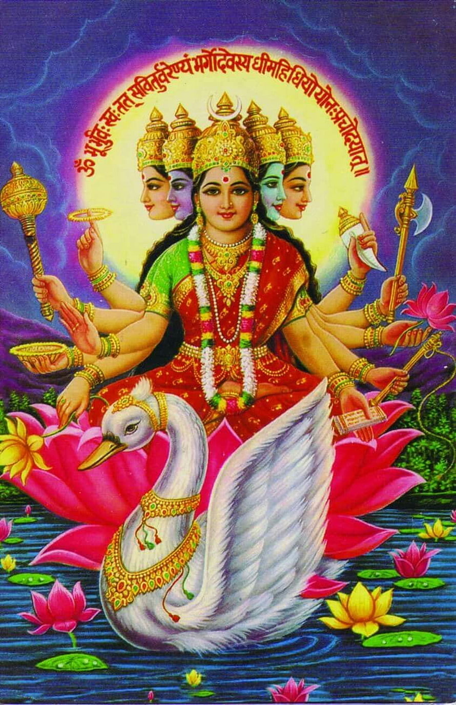 Gayatri Maa Hindu Deity Artwork with Swan and Lotus HD phone wallpaper