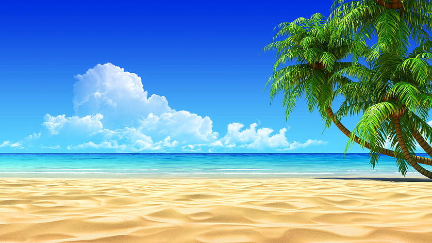 Vibrant Cartoon Tropical Beach With Palm Trees And Turquoise Ocean HD wallpaper