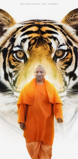 Yogi Baba in Orange Robes Standing Before a Majestic Tiger Portrait HD phone wallpaper