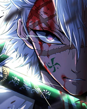 Anime Character With White Hair And Green Sword Close Up HD phone wallpaper