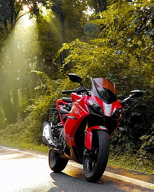 Red KTM RC 390 sport bike parked on a forest road with sunbeams filtering through the trees HD phone wallpaper