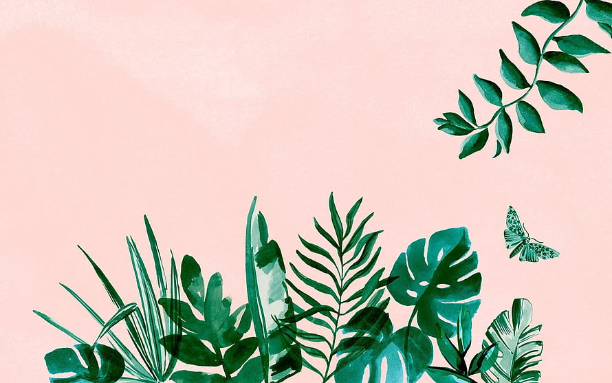 Tropical Watercolor Botanical Illustration With Monstera Leaves And Butterfly On Soft Pink Background HD wallpaper