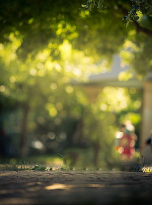 Sunny Park Path With Green Bokeh Trees And Blurred Background HD phone wallpaper