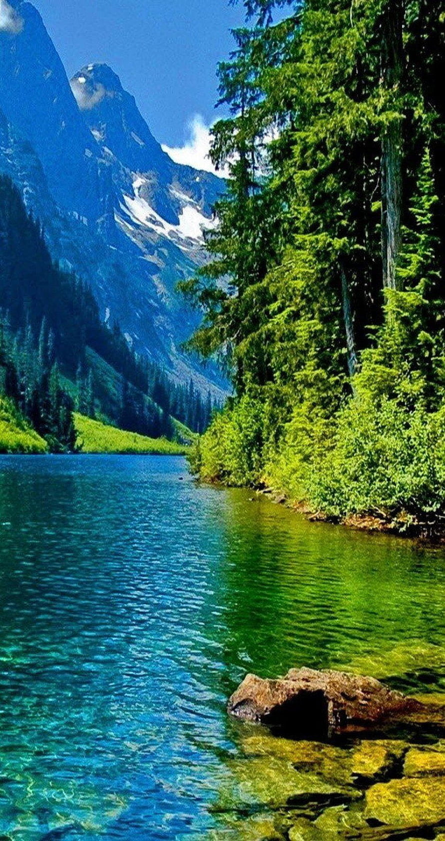 Serene Alpine Lake Surrounded by Lush Green Forest and Snowy Peaks HD phone wallpaper