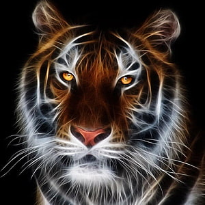Majestic Tiger Portrait With Glowing Orange Eyes And Ethereal White Fur Details HD phone wallpaper