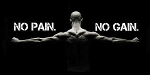 Muscular Man Back View With No Pain No Gain Motivational Quote, No Pain, No Gain HD wallpaper